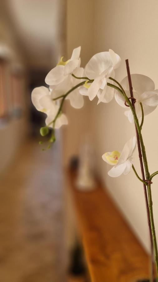 Casa Vacanze Giulia 기아레 외부 사진